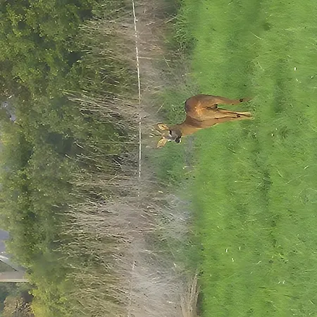 Maison De Chez La Prade *