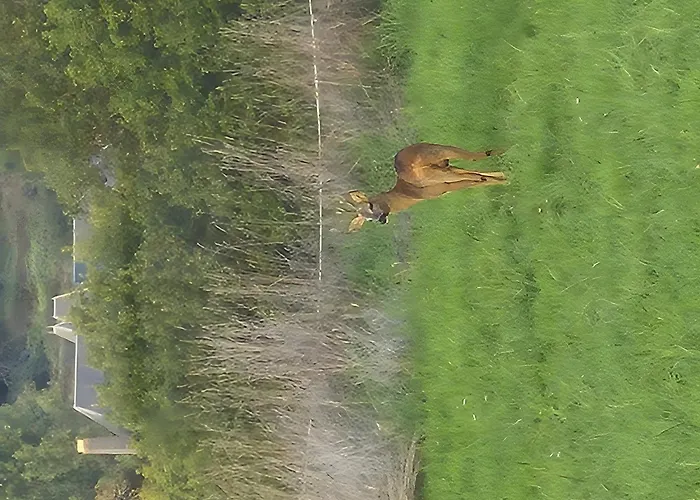 Maison De Chez La Prade *